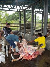 Majlis Kenduri Qurban MDTampin 2025
