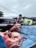 Majlis Kenduri Qurban MDTampin 2025